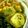 たよたひママ's cooksnap of when they made コーンと枝豆のお焼き!?.