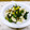 よっしー食堂's cooksnap of when they made ほうれん草と鶏ささみのオイスター炒め.