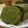 こにっぴ's cooksnap of when they made おからと抹茶のパウンドケーキ.