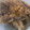 XXR's cooksnap of when they made さんまの蒲焼き.