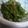 tama2012's cooksnap of when they made ピーマンの胡麻和え.