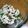 あめくま's cooksnap of when they made ささみと大葉のさっぱり梅和え.
