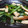 mipon933's cooksnap of when they made 簡単美味しい☆小松菜とちくわの炒め煮♪.
