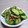 はるなちゅらる's cooksnap of when they made キュウリとちくわの胡麻和え.