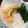 ＊ろりす＊'s cooksnap of when they made 三つ葉とあげのみぞれ和え.
