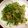 パンプキンチャボ's cooksnap of when they made 豆苗とｳｲﾝﾅｰの炒め物.