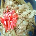 haru（╹◡╹）'s cooksnap of when they made 照り照り☆豚ごぼう丼.
