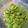 maruru-nn's cooksnap of when they made 枝豆のちょっと大人な食べ方。.