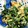 valentineG's cooksnap of when they made ほうれん草と油あげ☆簡単卵とじ炒め.