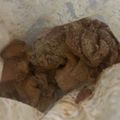 つ's cooksnap of when they made シンプルな味付け！鶏のからあげ.
