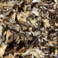 seka854's cooksnap of when they made 香る舞茸のグリル.
