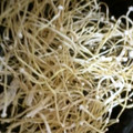 ソネチコ's cooksnap of when they made 簡単！干しえのき.