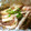 ごんごん29's cooksnap of when they made いかとワタのホイル焼き.