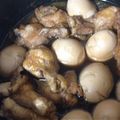 ☆まさまみ's cooksnap of when they made ♪簡単♪鶏手羽元のさっぱり煮♪.
