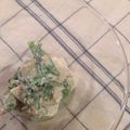 4Bonheur's cooksnap of when they made ☆菜花と蓮根のごまマヨ和え☆.