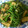 たけださえ's cooksnap of when they made 電子レンジで★水菜と揚げの煮びたし.