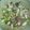 カーチャーの飼い主's cooksnap of when they made 辛味大根と水菜の炒め物.