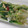 クマオチビオ's cooksnap of when they made ロメインレタスのシンプルおひたし.