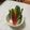 ヨネギーズ's cooksnap of when they made スイスチャード茎ディップ★玉ねぎタルタル.