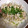 ☆chocola's cooksnap of when they made 激安&ヘルシー！蒸し鶏の冷製もやし和え.