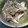 かあたらあ's cooksnap of when they made ☆舞茸とちりめんじゃこの炒め物☆.