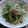 あや＆みちママ's cooksnap of when they made 大根ダイエット！ささみと香味野菜サラダ。.