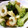とよいちご's cooksnap of when they made ブロッコリーとちくわのマヨ炒め.