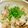 良飯好's cooksnap of when they made 舞茸のバターしょうゆ炊き込みご飯.