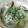stw's cooksnap of when they made まいたけとさつま芋の豆乳お味噌汁.