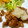 ■茉莉■'s cooksnap of when they made ☆豚肉を大根おろしでさっぱりと☆.