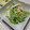 ゆうかりコアラ's cooksnap of when they made ＊数の子と水菜のサラダ仕立て＊.