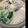 たなばたママ's cooksnap of when they made 白みそ仕立ての牡蠣鍋.