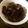 茶虎君's cooksnap of when they made プルーンの赤ワイン煮.