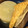 asianinaz's cooksnap of when they made ソースで！大根と厚揚げこんにゃくの煮物.