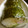 maruru-nn's cooksnap of when they made おさかなソーセージde巻き寿司.