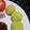 ハム吉ハム太郎's cooksnap of when they made ★栗なしきんとん★甘さ控えめ★★★.