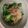 指輪を掛けたゾウ's cooksnap of when they made ピリッと濃厚！菜の花の白味噌和え.