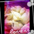 寝不足でいたい's cooksnap of when they made ☆チョコパイ☆.