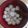 weirdclea's cooksnap of when they made チョコ入り白玉.