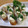 daikanon's cooksnap of when they made ちくわdeあと１品！.