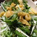 カジオヤジ's cooksnap of when they made 水菜と大根のシャキシャキサラダ.