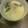 ☆大ちゃんママ☆'s cooksnap of when they made プルプルとろける茶碗蒸し。.