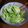 ありぞ～'s cooksnap of when they made やみつきキャベツ♪.