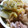ユーロン's cooksnap of when they made 炒めるだけ！！玉ねぎたっぷりの生姜焼き.