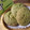 ひろみつばち's cooksnap of when they made 全粒粉と抹茶の和風白ゴマクッキー.