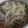 ラリー＆サラ's cooksnap of when they made 子供も身体もニッコリ☆もやし生姜ラーメン.
