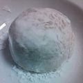 姫がんも's cooksnap of when they made お餅で作る大福だワン.