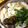 明日からやせる's cooksnap of when they made スープもごくごく飲めちゃう☆ごま豆乳鍋.