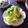 まろんかふぇ's cooksnap of when they made 白菜消費☆早うまお漬物！.