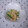 すがみほ's cooksnap of when they made セロリとツナのあっさり和え☆.